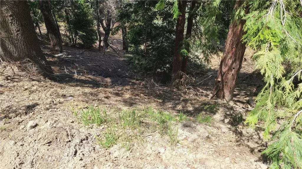 Cedar Glen, CA 92321,29186 Arrowhead