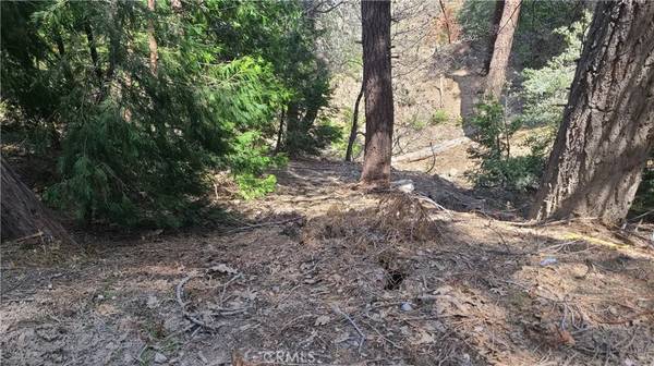 Cedar Glen, CA 92321,29186 Arrowhead