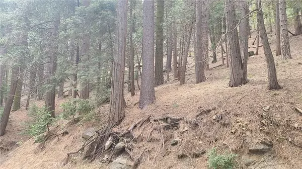 Cedarpines Park, CA 92322,44 Reservoir