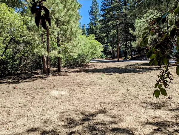 Green Valley Lake, CA 92341,0 Green Valley Lake Rd