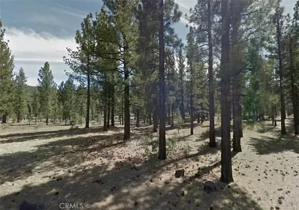 Big Bear, CA 92314,0 Avenue E