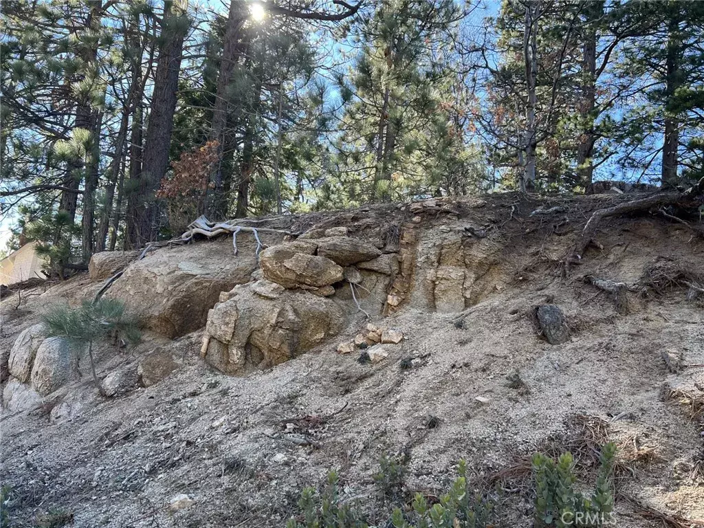 Running Springs, CA 92382,2686 Viking