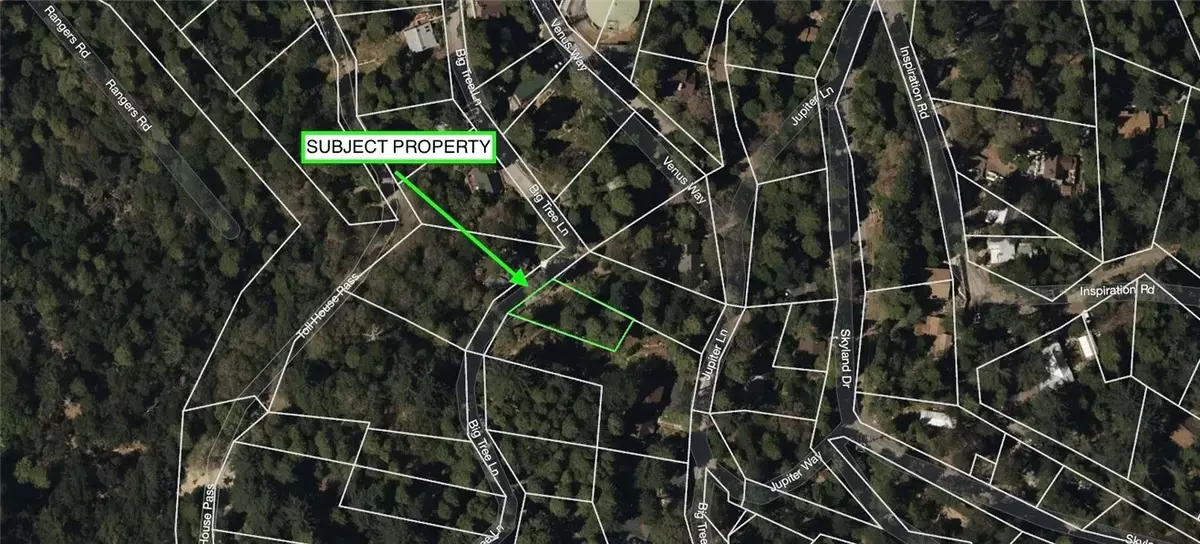 Crestline, CA 92325,0 Big Tree