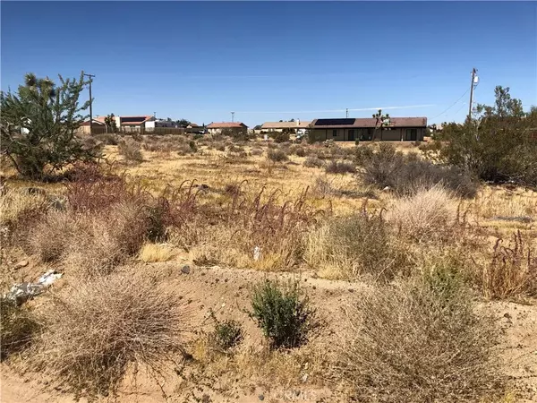 Yucca Valley, CA 92284,0 Pimlico