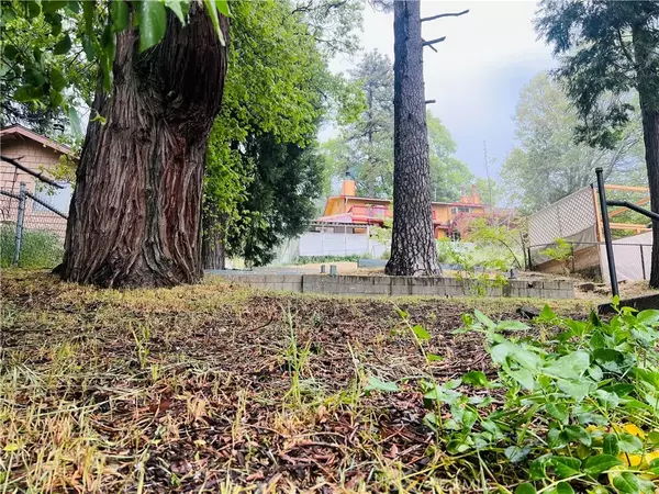 Crestline, CA 92325,23798 Springwater