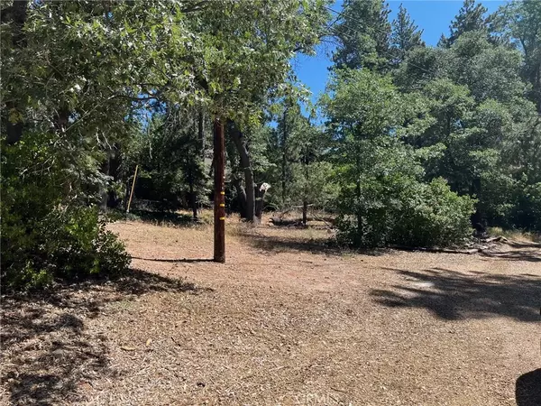 34 Tulip, Arrowbear, CA 92382