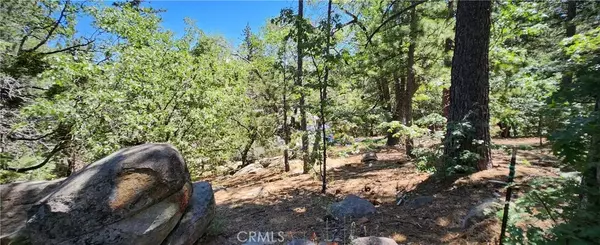 Running Springs, CA 92382,32311 FERN