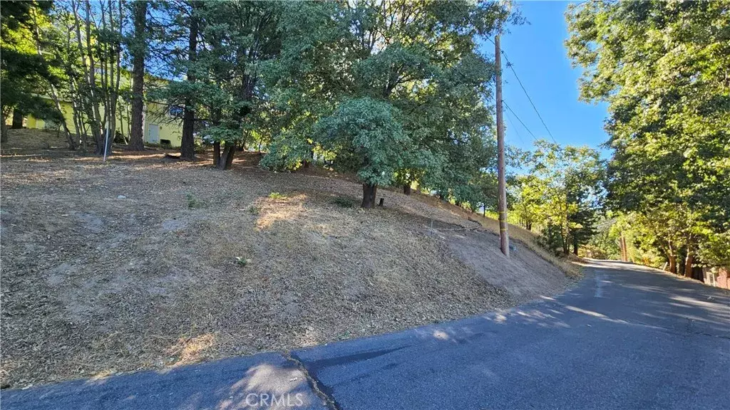 72 Park, Running Springs, CA 92382