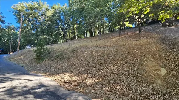 Running Springs, CA 92382,72 Park