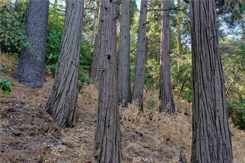 Crestline, CA 92325,33 Lot 33 Bernard