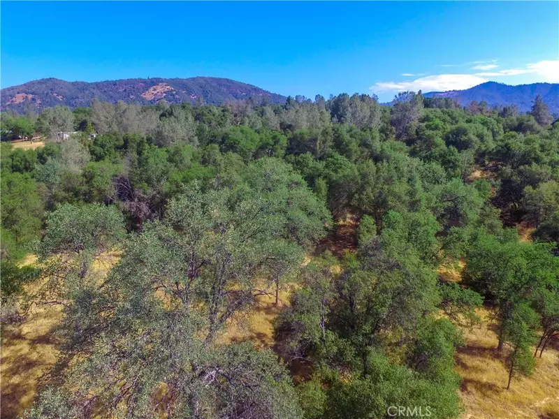 0 Knickerbocker & Highway 49, Ahwahnee, CA 93601