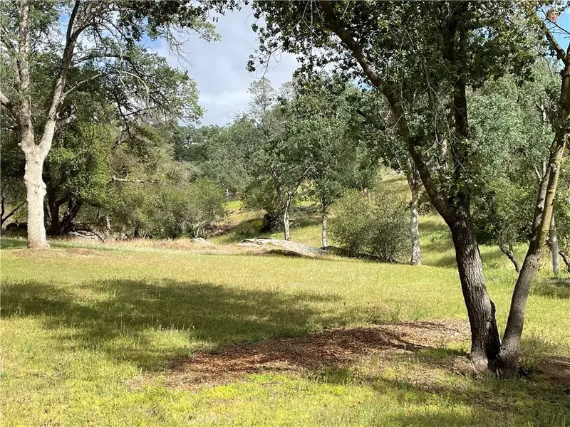 599 Deep Forest, Coarsegold, CA 93614