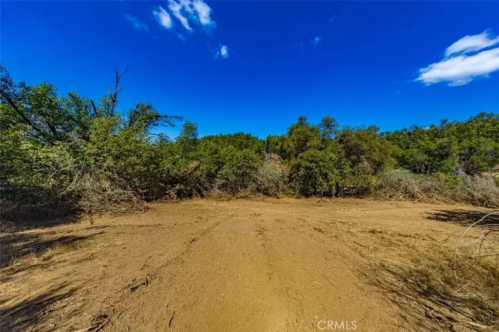 Oakhurst, CA 93644,0 Golden Ball