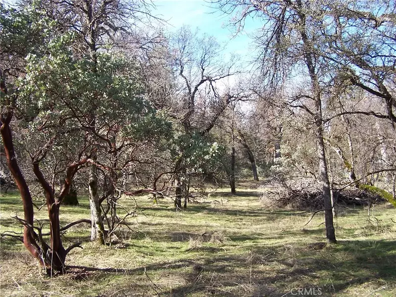 1 Jean Rd West, Oakhurst, CA 93644