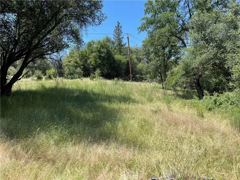 Oakhurst, CA 93644,29 Hangtree