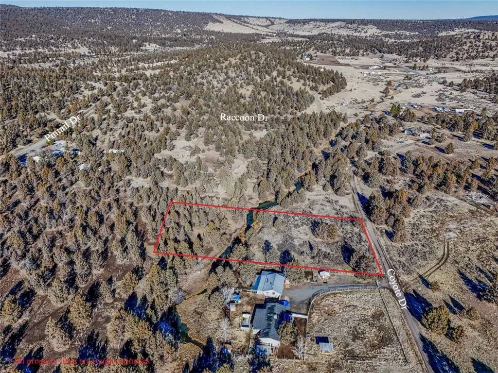 Alturas, CA 96101,0 Cayote