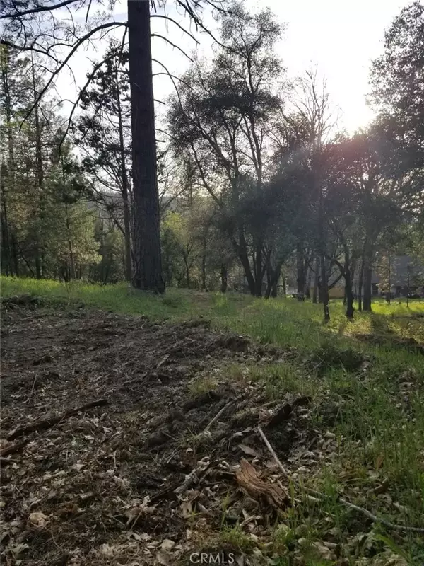 Oakhurst, CA 93644,1 Oak