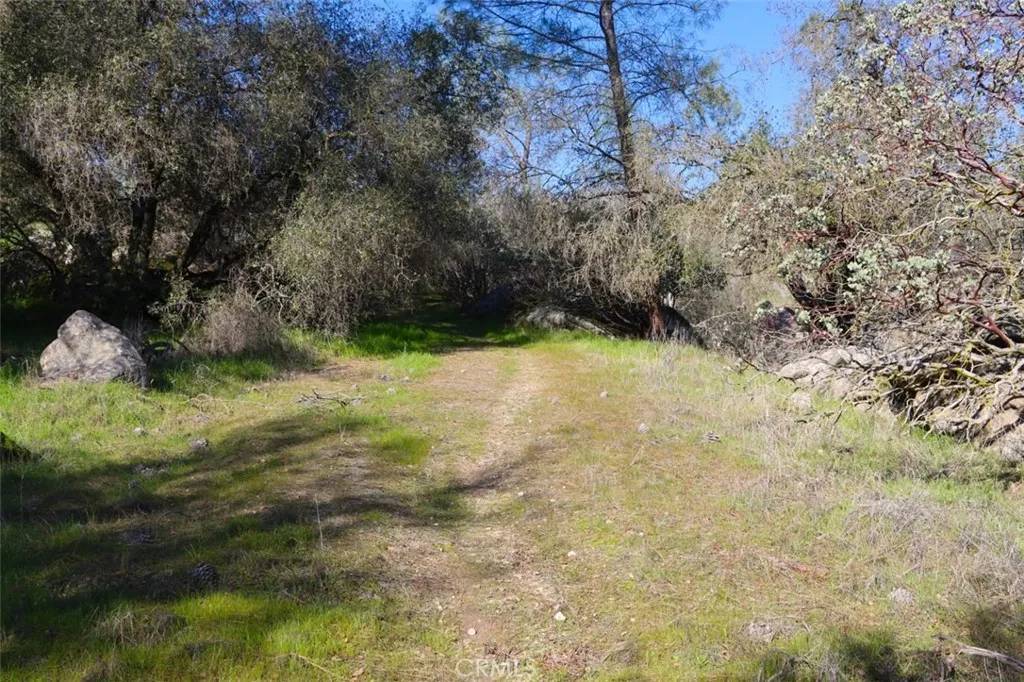 Coarsegold, CA 93614,0 Long Hollow