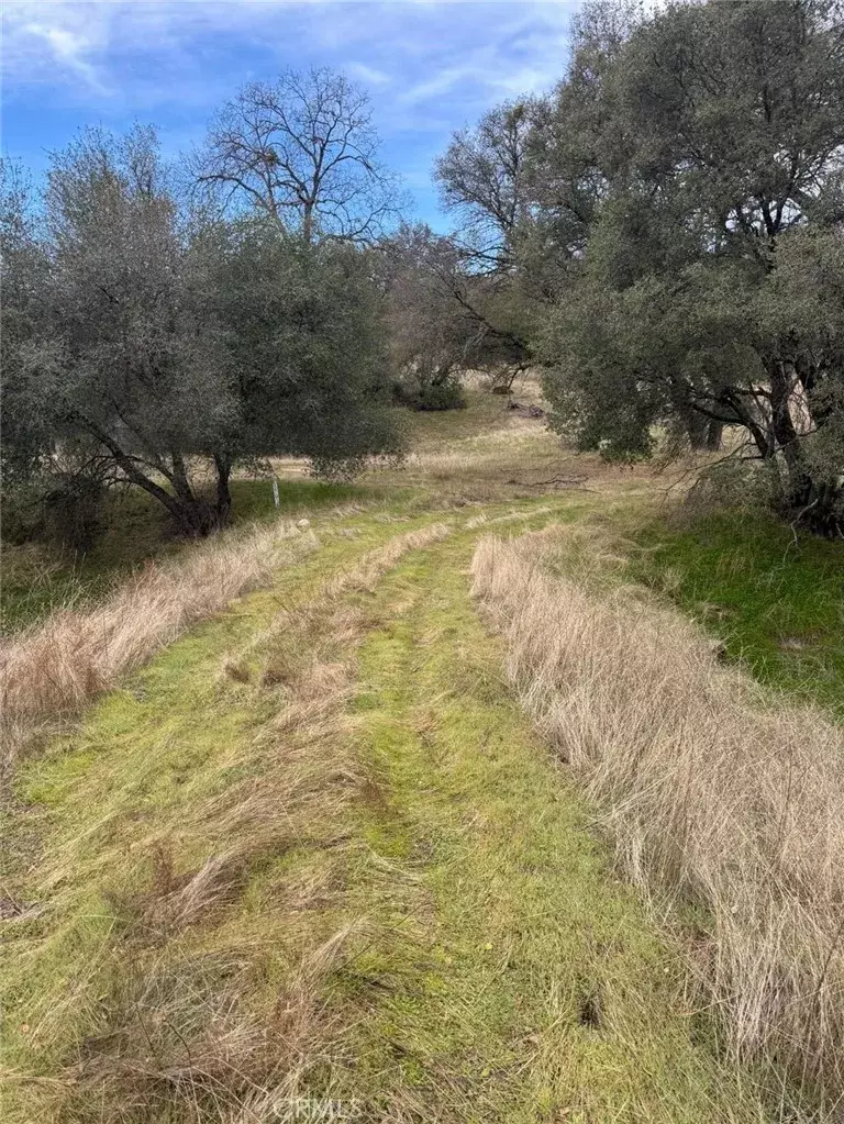 Mariposa, CA 95338,3270 Wildcat