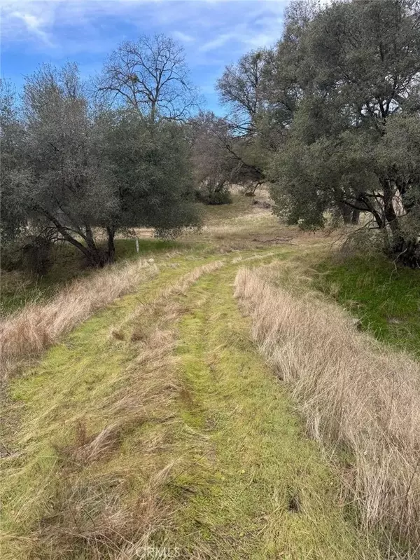 3270 Wildcat, Mariposa, CA 95338