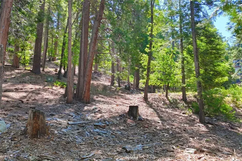 Yosemite, CA 95389,7220 Yosemite Park