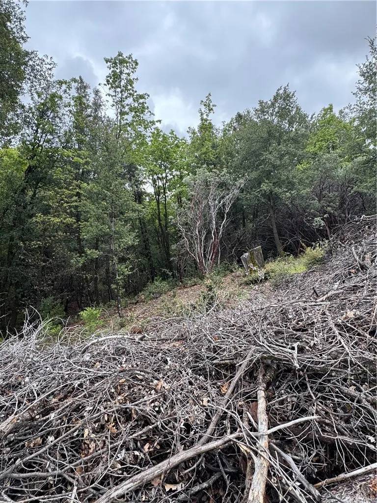 Sonora, CA 95370,0 Wildcat Ridge