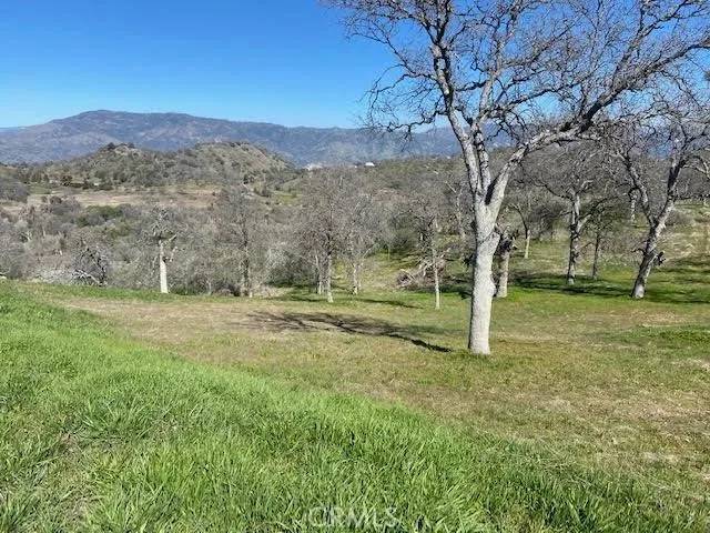Squaw Valley, CA 93675,0 APN 190-160-05S