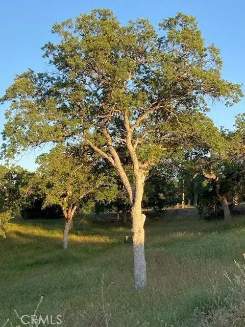 Squaw Valley, CA 93675,0 APN 190-160-05S