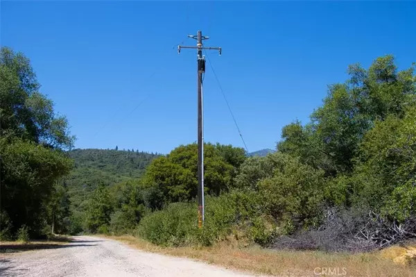 Mariposa, CA 95338,0 Leaning Pine