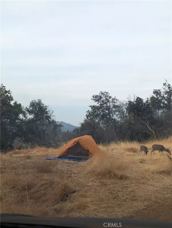 Mariposa, CA 95338,4548 Triangle