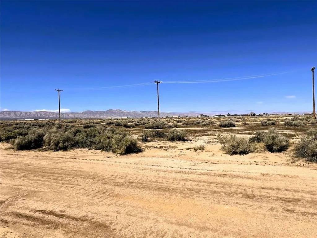 California City, CA 93505,8182 Jimson