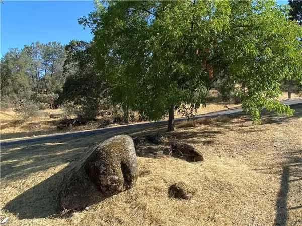 Coarsegold, CA 93614,31749 Road 400 #400