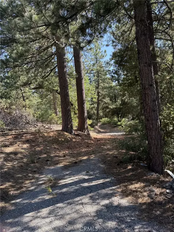 Angelus Oaks, CA 92305,0 Ca-38