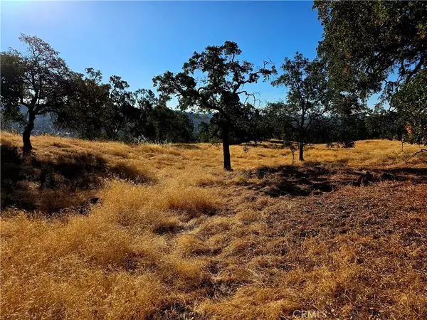 Coarsegold, CA 93614,1 Lilley Mountain