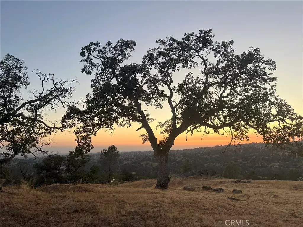 Coarsegold, CA 93614,1578 Lilley Mountain