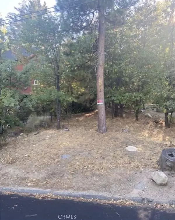 Lake Arrowhead, CA 92352,1254 Portillo