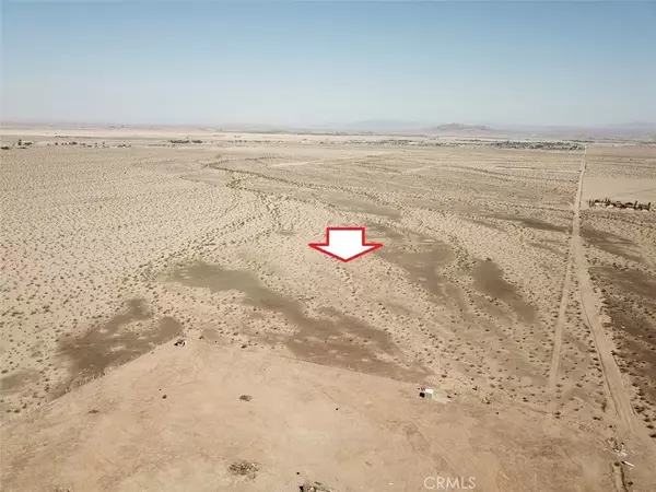 Barstow, CA 92311,0 Salamader