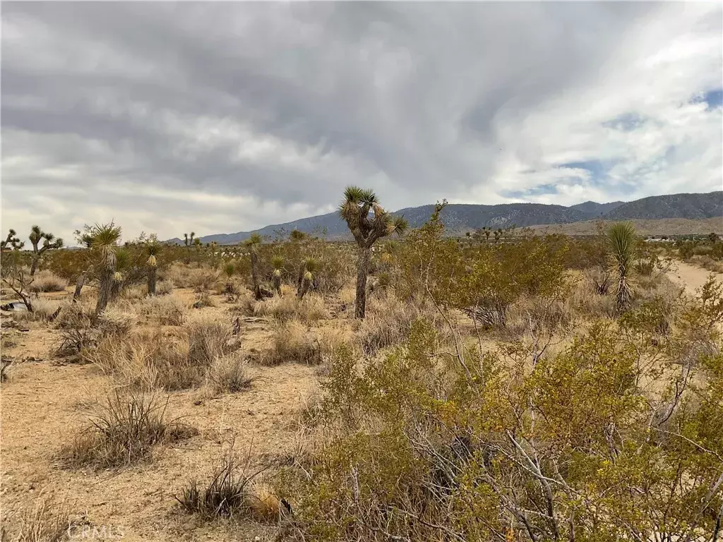 Llano, CA 93544,0 228th East