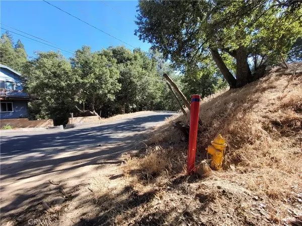 Crestline, CA 92325,0 Berne