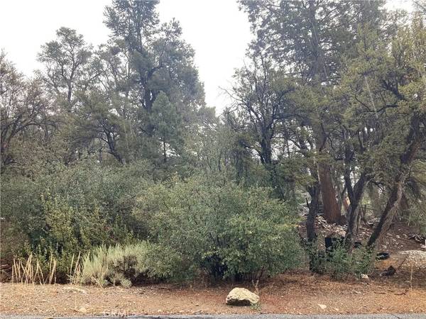 0 Mount Shasta, Big Bear City, CA 92314