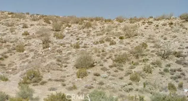 Pinon Hills, CA 92371,Address not disclosed