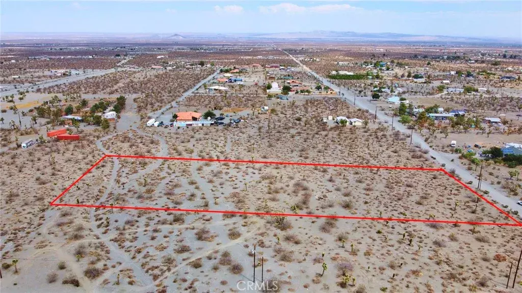 Pinon Hills, CA 92372,0 Buckwheat