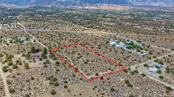 Pinon Hills, CA 92372,0 Buckwheat