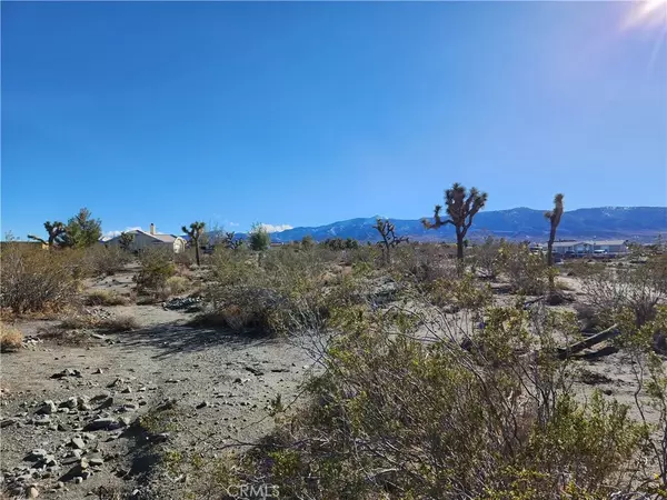 Pinon Hills, CA 92372,0 Rosado