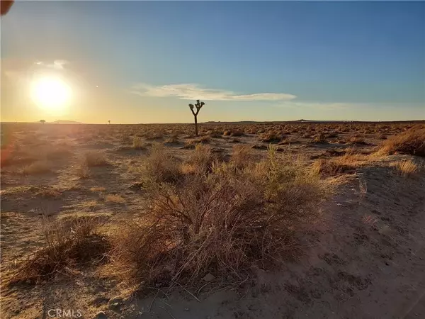 0 260th Parcel #3338-022-015, Black Butte, CA 93591