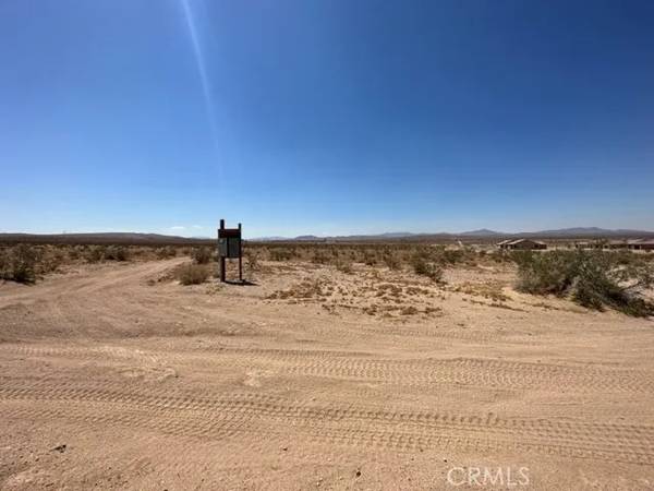 Barstow, CA 92311,0 Tortoise