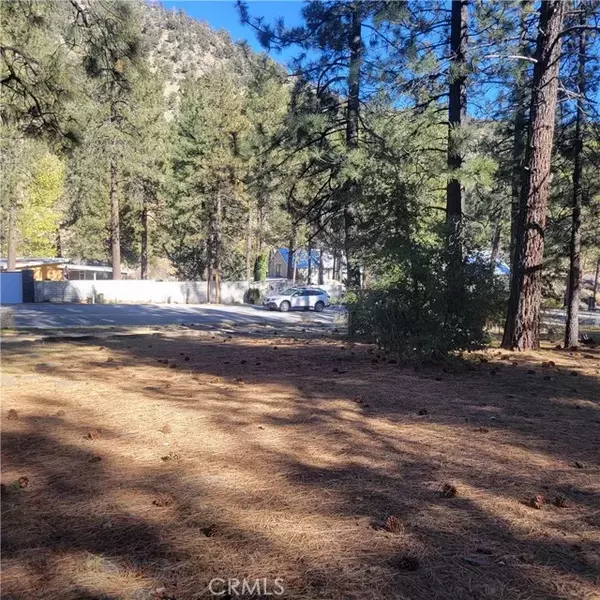 Wrightwood, CA 92397,0 Ross