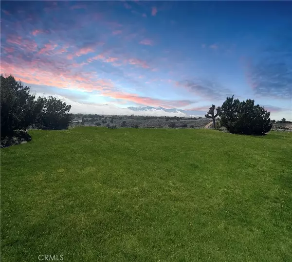 Oak Hills, CA 92344,0 Mesquite