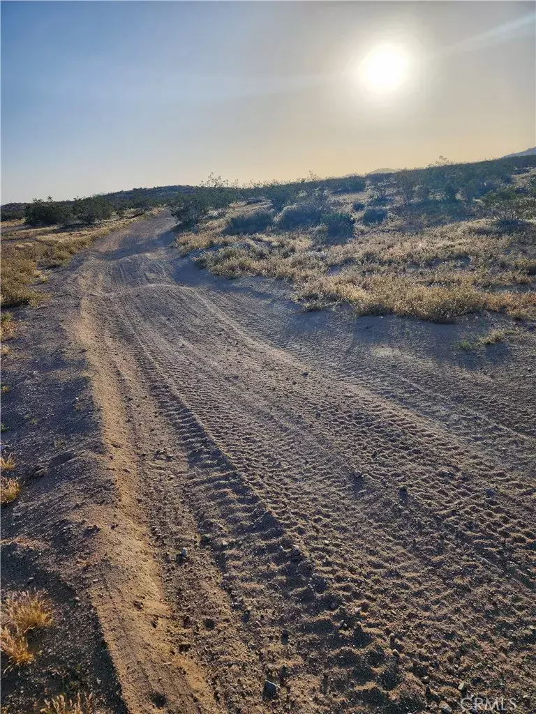 Helendale, CA 92342,1 Cottonwood