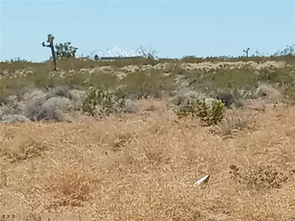 Landers, CA 92285,408 Stable